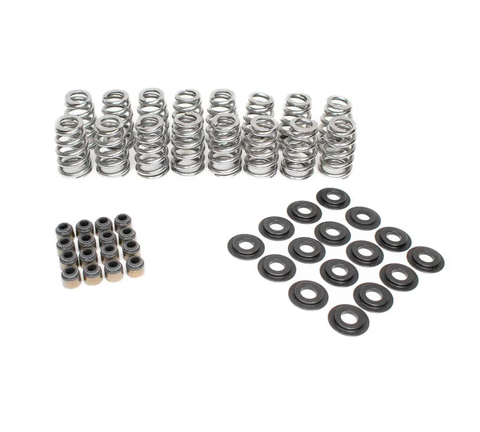 BTR .625" LIFT BEEHIVE VALVE SPRING KIT - BTR-SK018